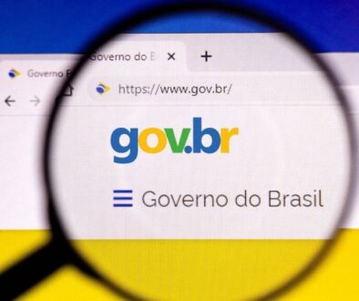 Senha GOV - Devo fornecer ao meu contador? É seguro?